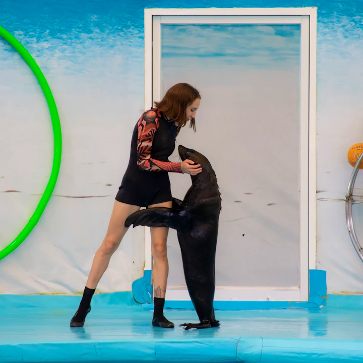 Dolphin Show Phuket Tickets Category